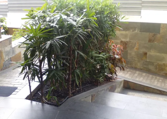 Διαμέρισμα Piso 2 Sol Del Sur Costa Adeje (Tenerife)